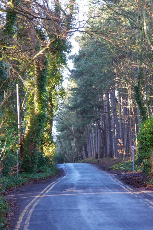 Formby Pinewood Studio Bed & Breakfast Ngoại thất bức ảnh